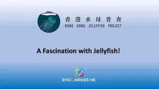 HK Jellyfish Project