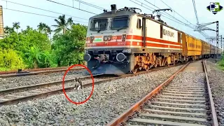 Live Accident !! High Speedy WAP 5 Express Train Almost Hits The Dog 😱😱