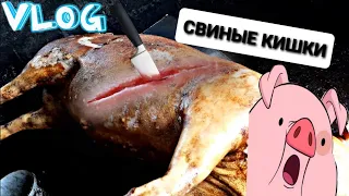 ШОК КОНТЕНТ СВИНЫЕ КИШКИ // ЗАБОЙ КАБАНА 140КГ