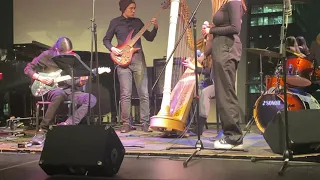 "Agua de Beber" - York Jazz Band (Harp solo portion)