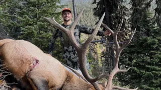 Trevor's Biggest Bull / October Elk Hunt - Stuck N The Rut 156