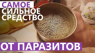 ЭФФЕКТИВНОЕ СРЕДСТВО от паразитов внутри нас (реально работает)