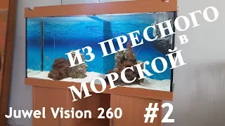 Из пресного в морской. Juwel vision 260.  №1