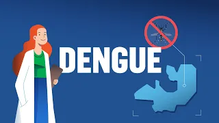 Programa de control de vectores – Dengue