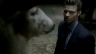 The Originals Season 2 Episode 11 - Elijah Told Klaus About Tatia