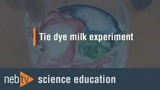 Kid Science - Tie dye milk experiment