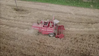 Massey Ferguson 307 barley harvest