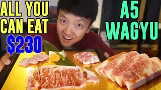 FINEST All You Can Eat WAGYU BEEF in Tokyo Japan: Matsusaka Beef