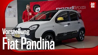 Fiat Pandina (2024) | Ist er der fortschrittlichste und sicherste? | Vorstellung mit Jan Götze