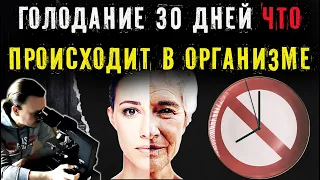 Голодание 30 дней  - что произошло с кровью под микроскопом?