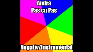 Andra - Pas cu Pas (Negativ/Instrumental)