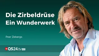 Zirbeldrüse - ein Wunderwerk | Hochfrequenzenergie | QS24