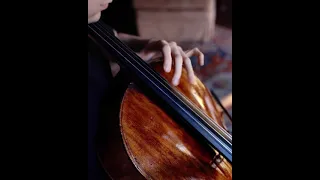 Haydn Cello Concerto No.1 in C Major | #the1000dayjourney