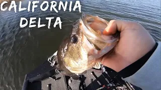 California Delta Bass Fishing.(SPAWN)