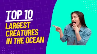 Top 10 Largest Creatures in the Ocean | Animal Facts #oceanlife #wildlife #animals