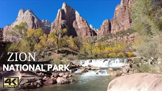 Zion National Park Utah | Relaxing Waterfall Sounds | Autumn | Nature | 4K🎧