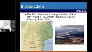 Nitrogen Use Efficiency of Limpograss - Joao Vendramini