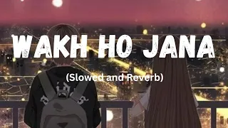 Wakh ho jana | Slowed and Reverb | Gurnam bhullar