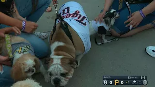 DET@PIT: Fans bring dogs to PNC Park for Pup Night