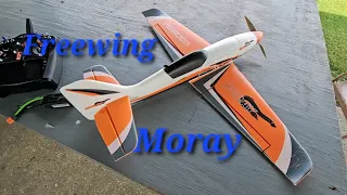 Freewing Moray