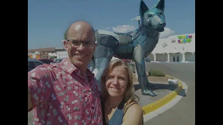 Meow Wolf