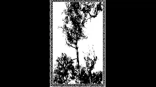 Forest Grave / Ostots (UK/Basque Country) - S/T (Split 2010)