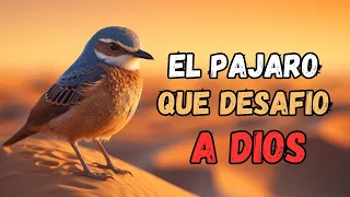 La HISTORIA de el PAJARO que se QUEJO con DIOS