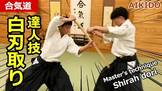 Aikido Counter technique against sword attack "Shiraha dori" - Shirakawa Ryuji shihan