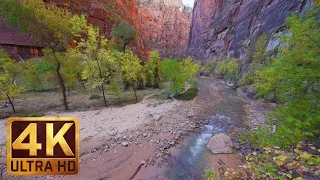 4K Relaxation Video from Zion National Park - Riverside Walk Trail - 2 Hours