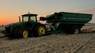 Wheat Harvest 2024 (Days 1,2) STUCK GRAINCART and Muddy Fields