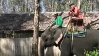 Igudesman rides Sherlock Holmes on an Elephant