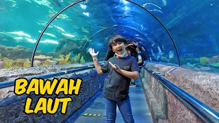 WOW!! Aquarium Raksasa Bawah Laut di Seaworld Ancol | Superduper Ziyan