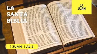 1 JUAN COMPLETO (DÍA 316) LA SANTA BIBLIA || Audiolibro ||