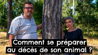 Comment se préparer au décès de son animal ?