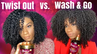 Twist Out vs Wash and Go | Mielle Organics Pomegranate and Honey