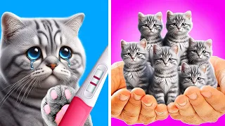 Save the Pregnant Cat 😿 *Gadgets and Crafts for Pet Owners*