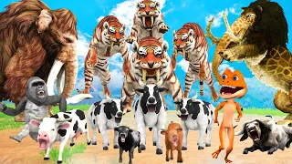 10 Giant Tiger vs 10 Cow Buffalo Bull vs Monster Lion Attack Cow Buffalo Rescue By Mammoth  Elephant