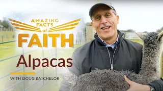 Amazing Facts of Faith: "Alpacas" with Doug Batchelor