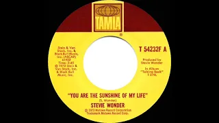 1973 HITS ARCHIVE: You Are The Sunshine Of My Life - Stevie Wonder (a #1 record--stereo 45 version)