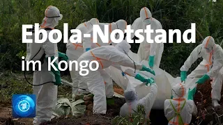 Ebola-Epidemie im Kongo - WHO ruft Gesundheitsnotstand aus