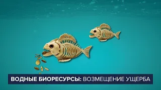 Водные биоресурсы: возмещение ущерба