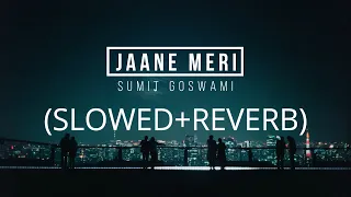 Jaane Meri (slowed+reverb) | Sumit Goswami | Relax Reverb