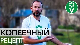 Защитите МОЛОДЫЕ ДЕРЕВЬЯ ЗИМОЙ от всех бед!