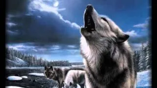 Халық күйі "Қасқыр" - Народная музыка - Волк (Wolf)