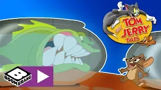 Tom & Jerry berättelser | Kattdivan och en bitsk piraya | Boomerang Sverige