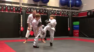 Arashi Do Karate Little Dragons (4-7 years old) Class Edmonton