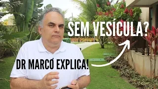 Sem vesícula, a Vitamina D e Ômega 3 serão absorvidos? Dr. Marco comenta! #6