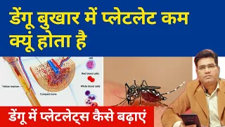 Why Does Platelets Decrease in Dengue fever and How to Increase Platelet count