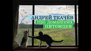 Андрей Ткачёв про домашних питомцев