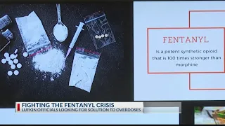 Fighting the fentanyl crisis: Deep East Texas officials looking for a solution to overdoses